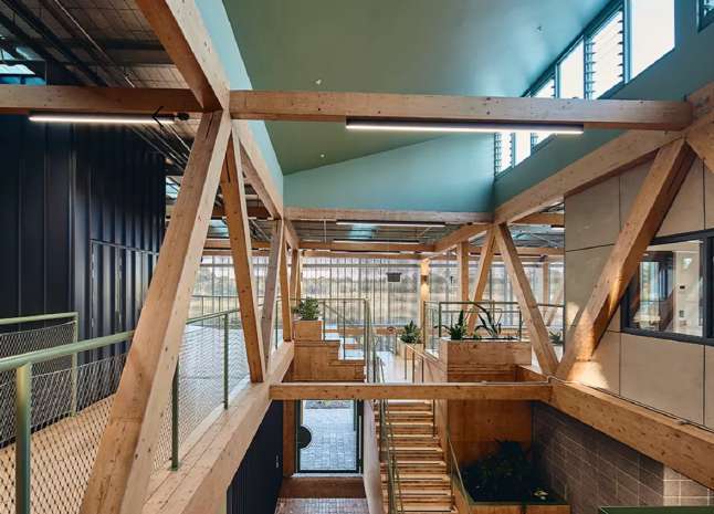 Open CLT walkways threading between glulam truss chords